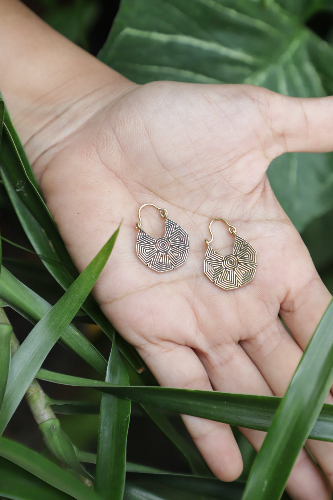 Small hoops Earrings