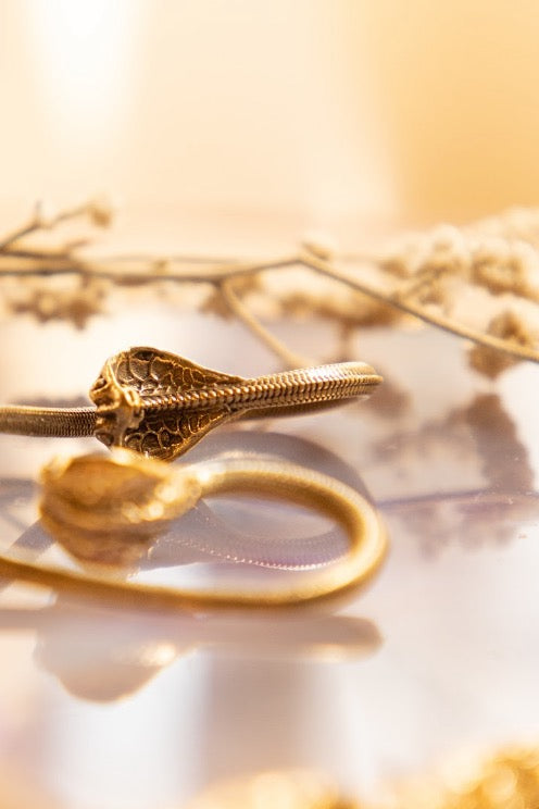 Shivohum hoops men collection