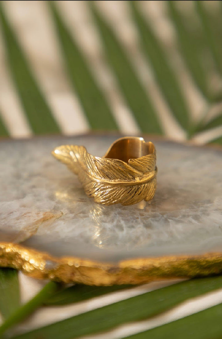 Moonstone Drop Bangle + Feather Wrap Adjustable Ring Combo of 2 items