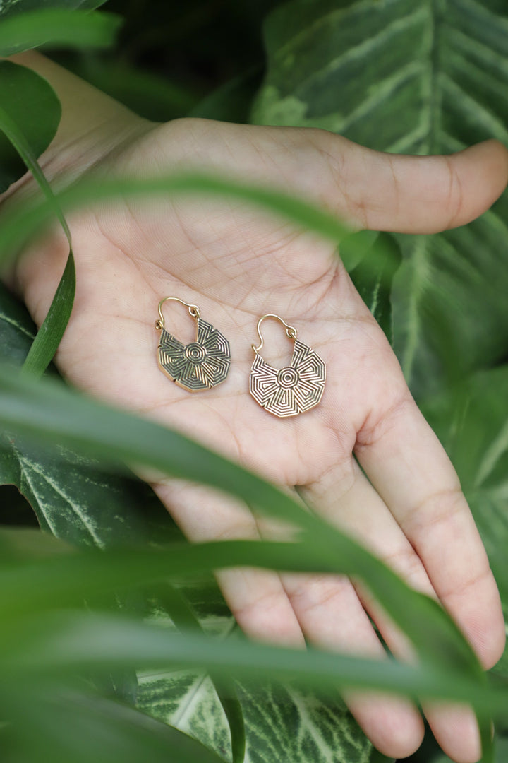 Small hoops Earrings